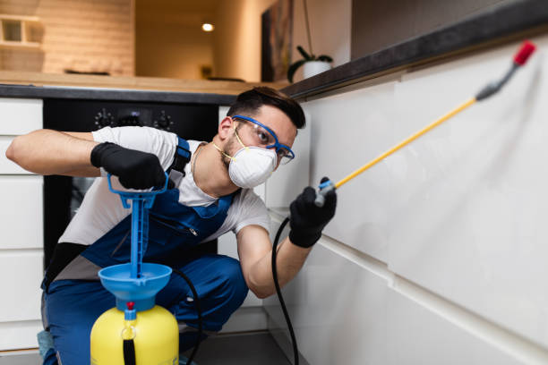 Best Wildlife Control Services  in Shelton, WA