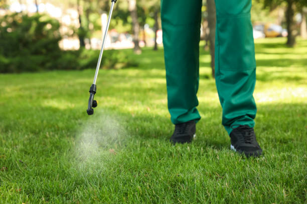 Best Emergency Pest Control  in Shelton, WA