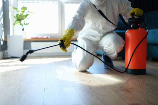 Reliable Shelton, WA Pest Control Solutions