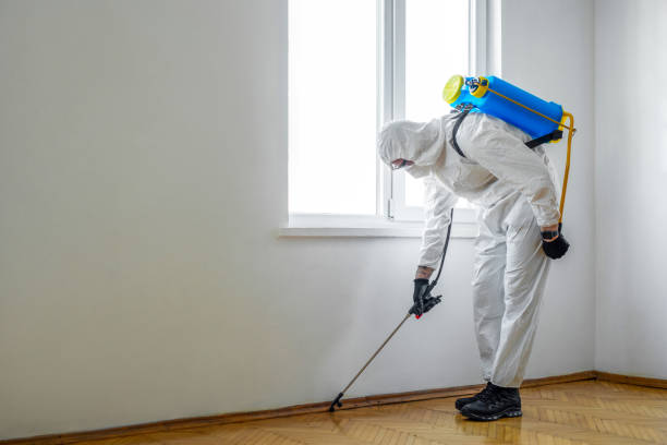 Best Rat Extermination Near Me  in Shelton, WA