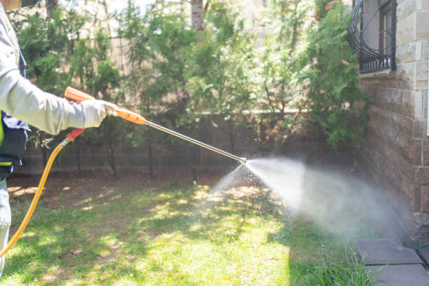 Wildlife Control Services in Shelton, WA