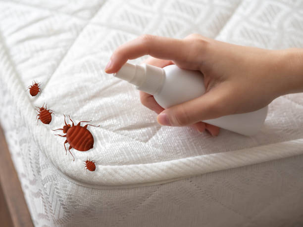  Shelton, WA Pest Control Pros