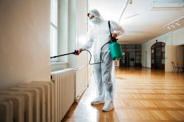 Best Exterminator Services  in Shelton, WA
