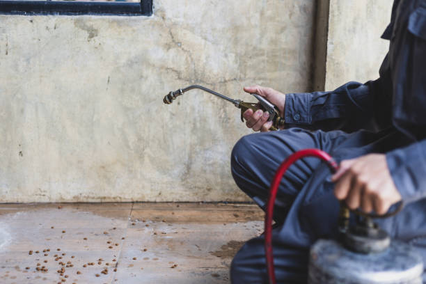 Best Pest Removal Services  in Shelton, WA